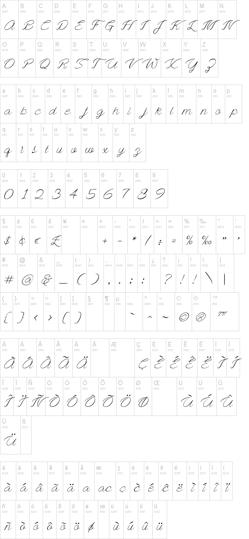 Ayla Script