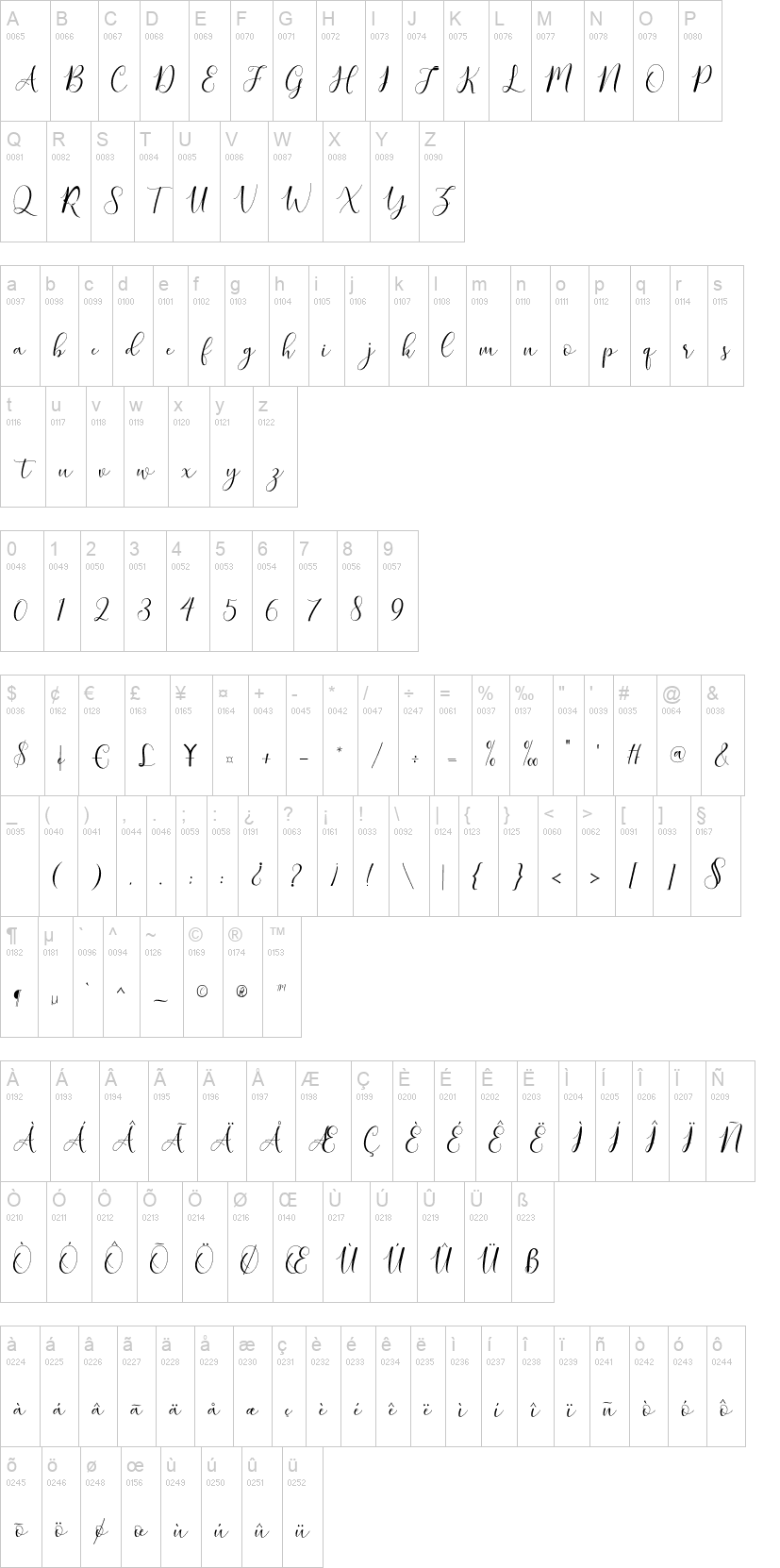 Zellora Script