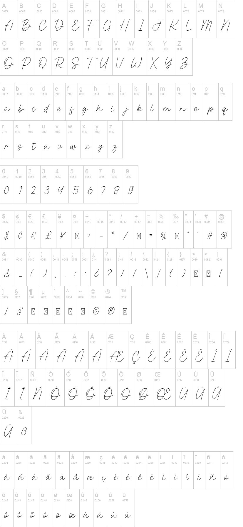 Motena Golden Script