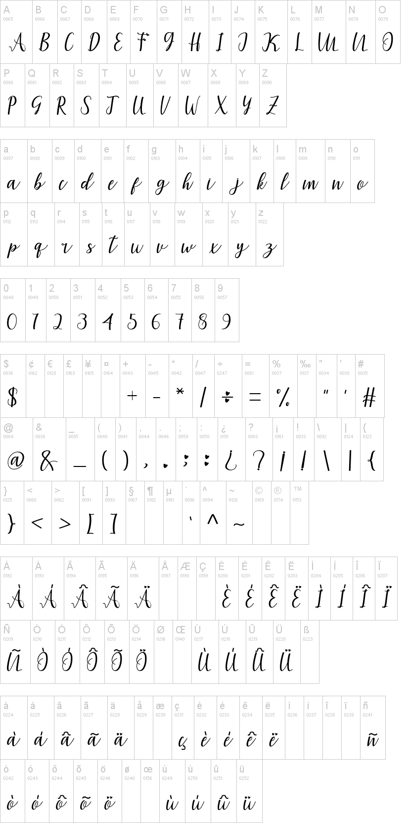 Amira Script