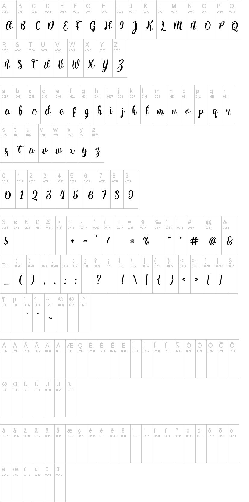 Kite Script