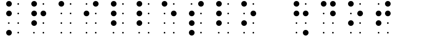 BrailleSlo 8dot