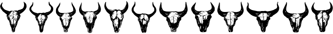 Bull Skulls