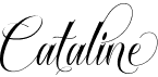 Cataline Script