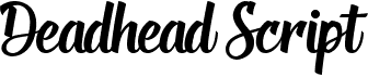 Deadhead Script