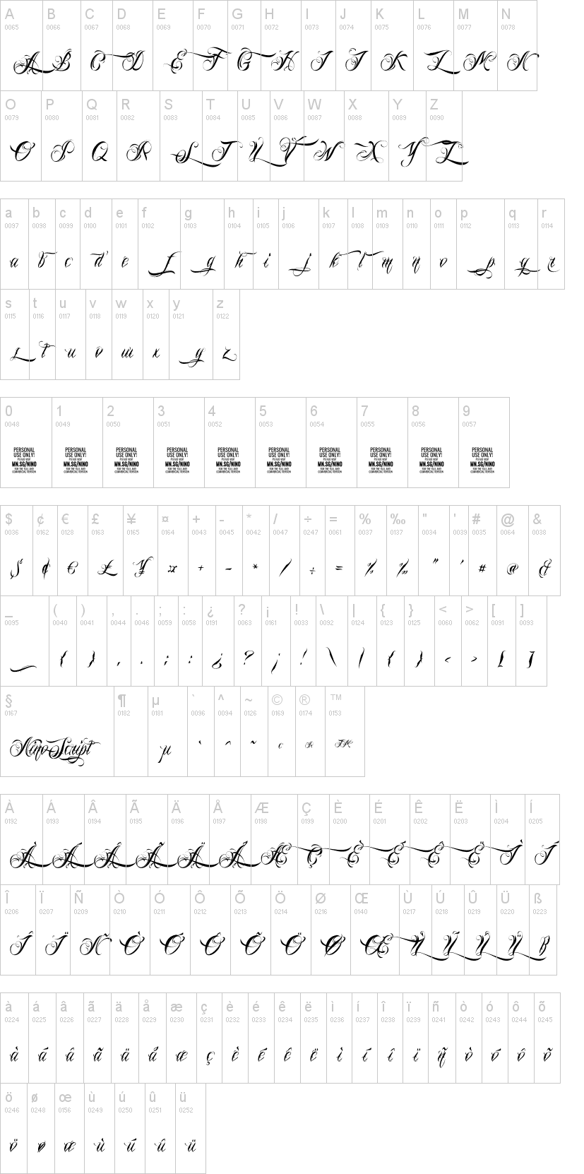 Nino Script