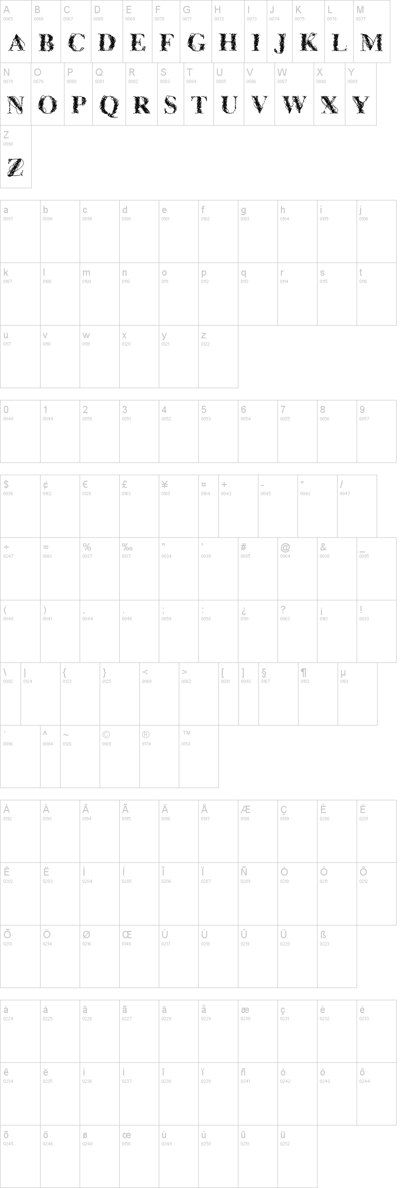 CF WireFrame