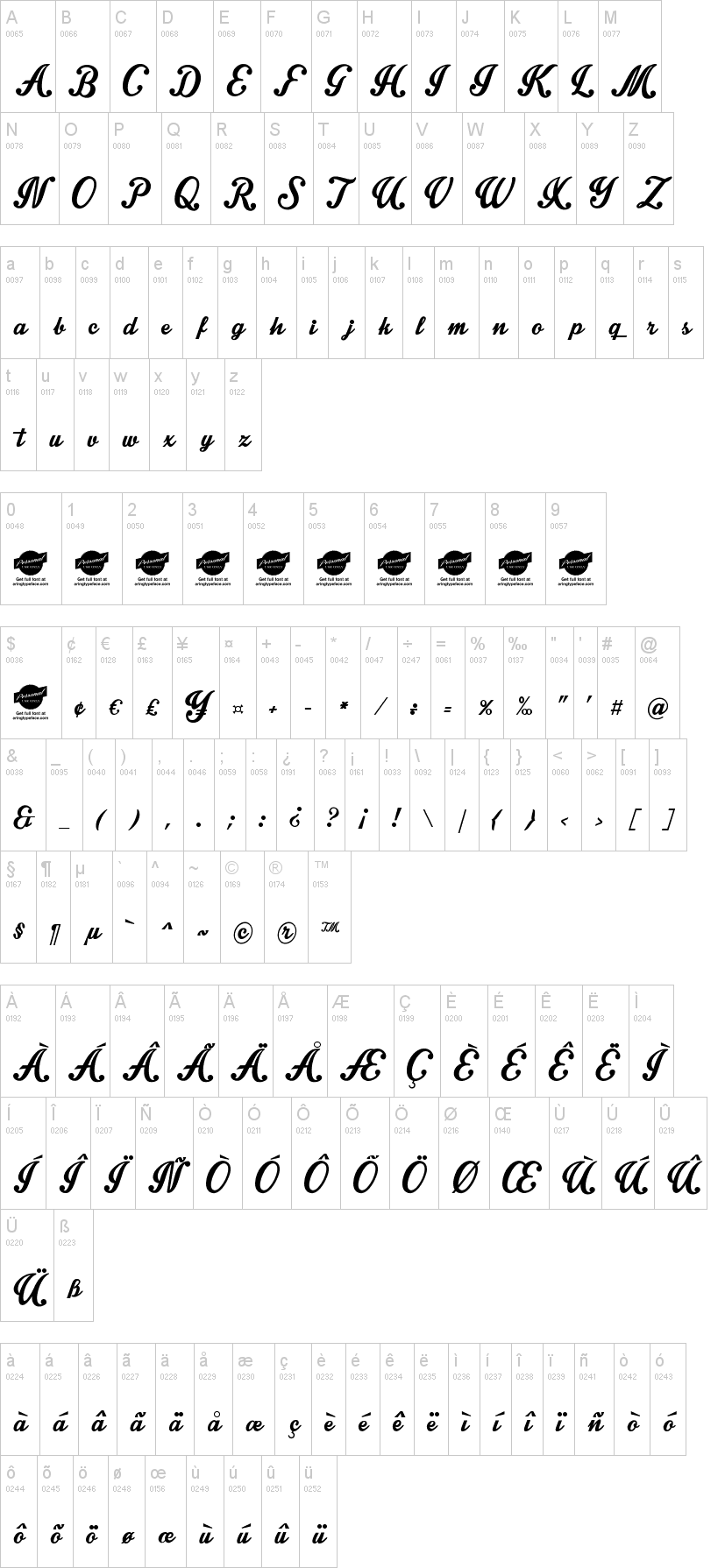 Intrique Script