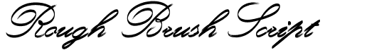 Rough Brush Script