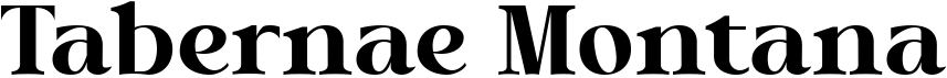 Tabernae Montana Serif