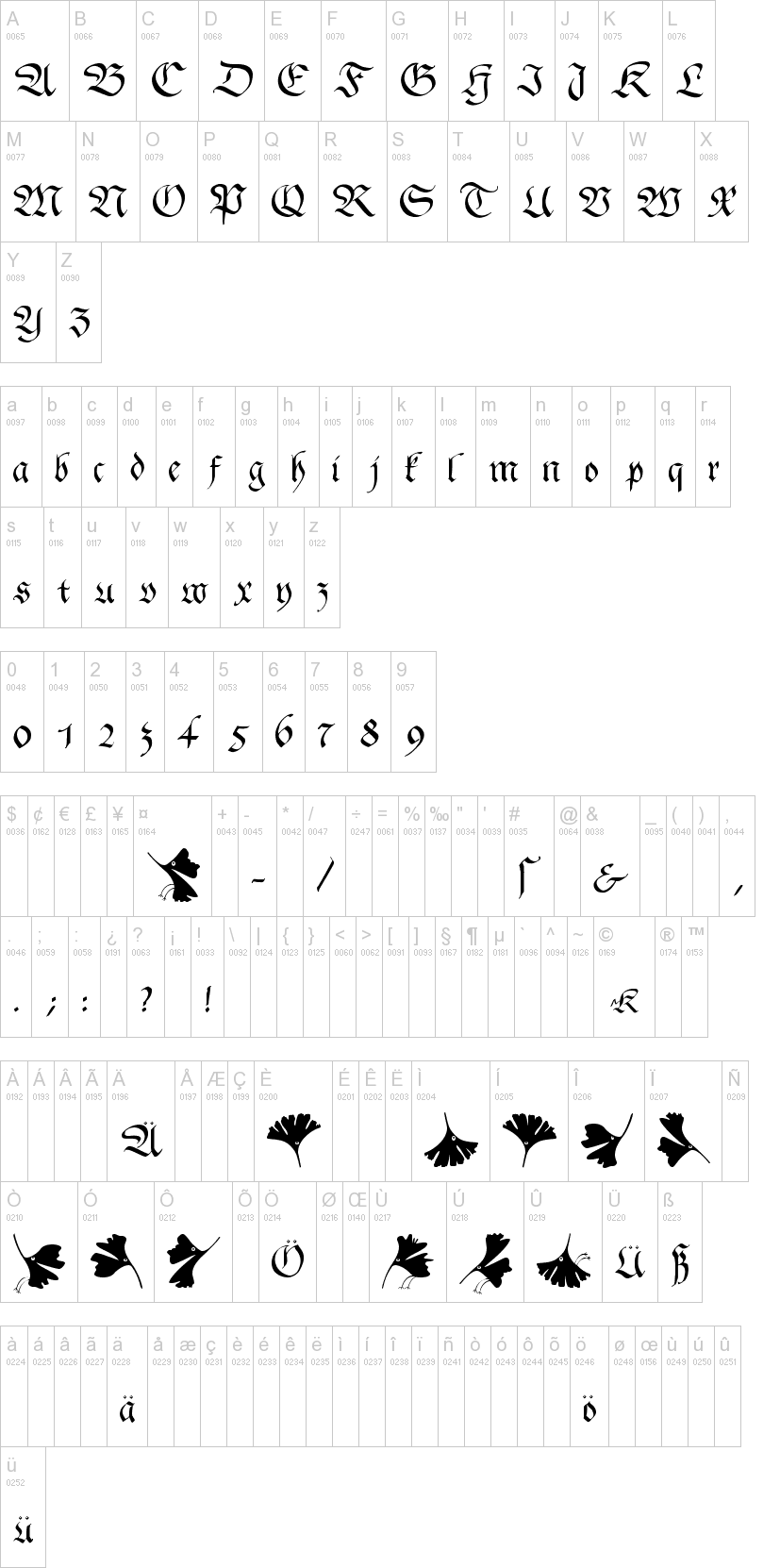 Gingko Fraktur