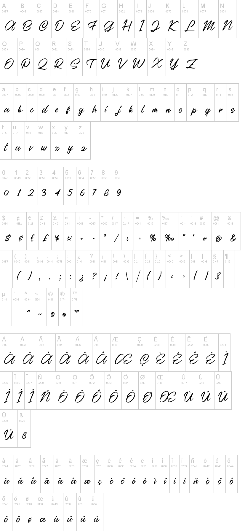 Casira Script