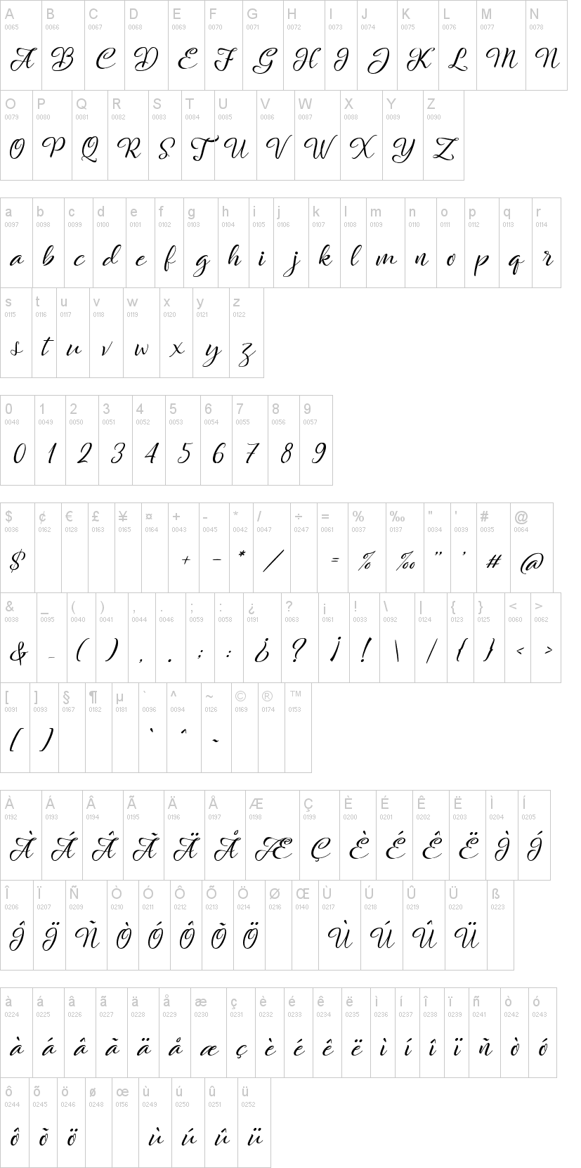 Rachella Script