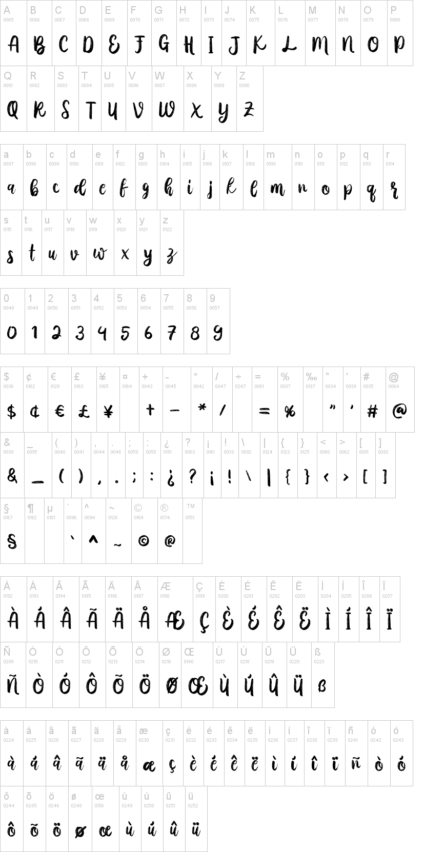 Austhina Brush Calligraphy Scratch