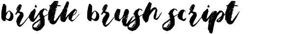 Bristle Brush Script