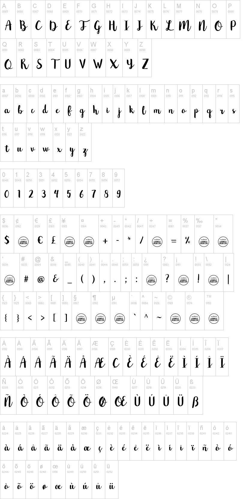 Northern Lights Script