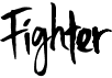 Fighter